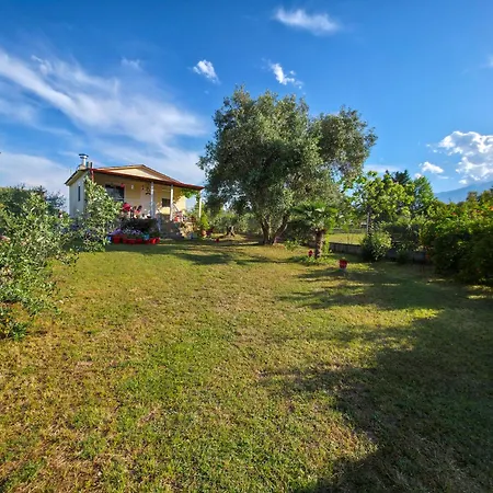 Prázdninový dům Art House